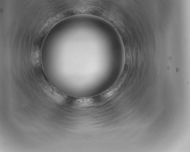 X0000073900526200608111133