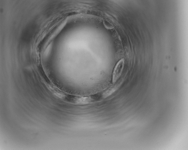 X0000073900527200608111133