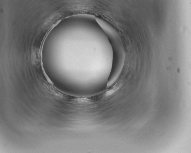 X0000073900528200608111133