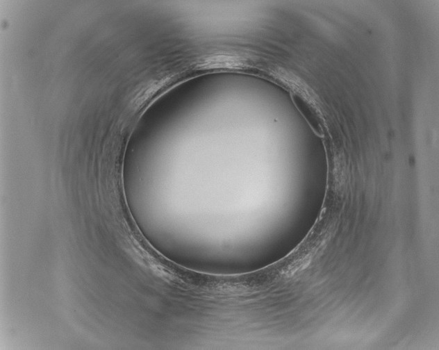 X0000073900529200608111132