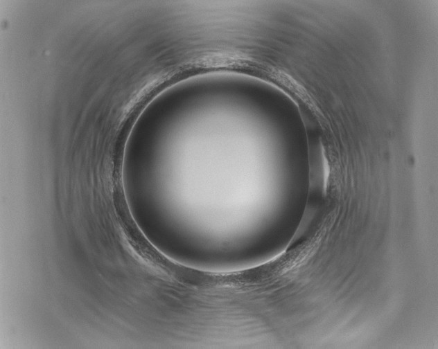 X0000073900530200608111132