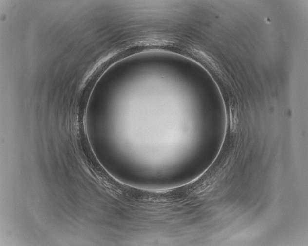 X0000073900531200608111132