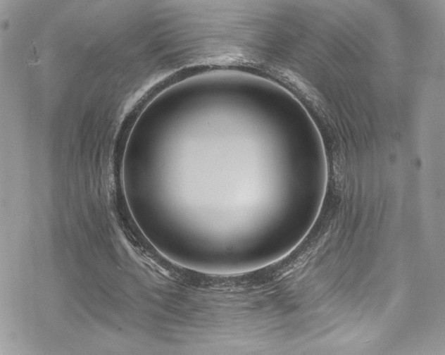 X0000073900532200608111132