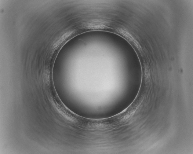 X0000073900533200608111132