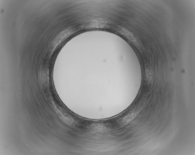 X0000073900534200608111132