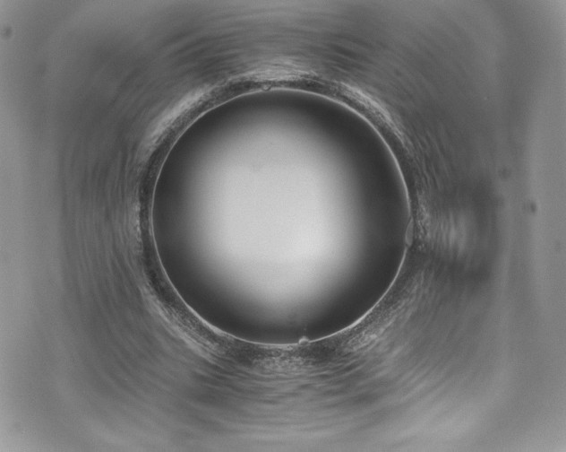 X0000073900535200608111132