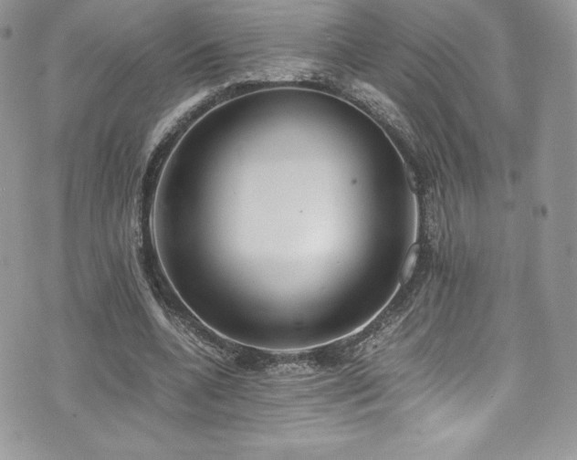 X0000073900536200608111132