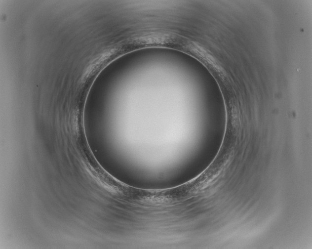 X0000073900537200608111132