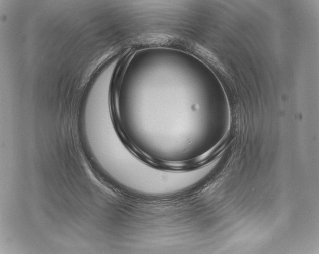 X0000073900538200608111132