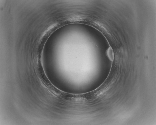 X0000073900539200608111132