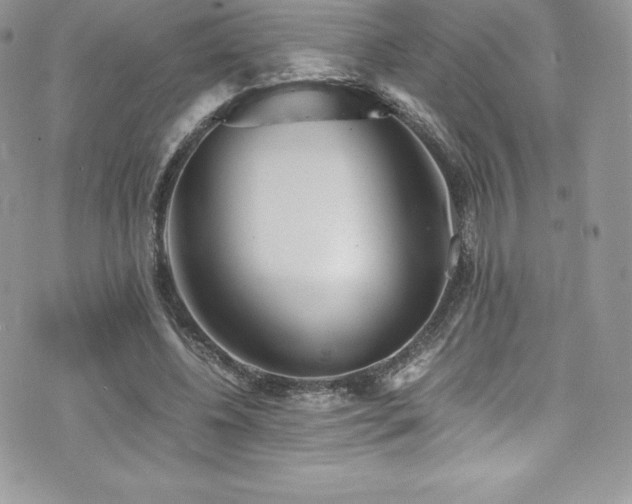 X0000073900540200608111132