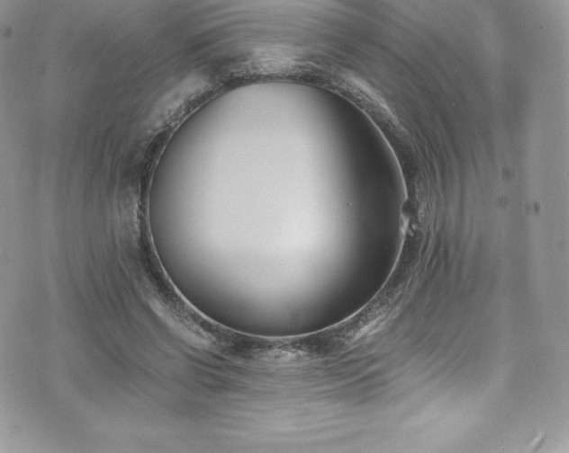 X0000073900542200608111132