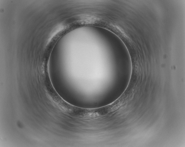 X0000073900543200608111133