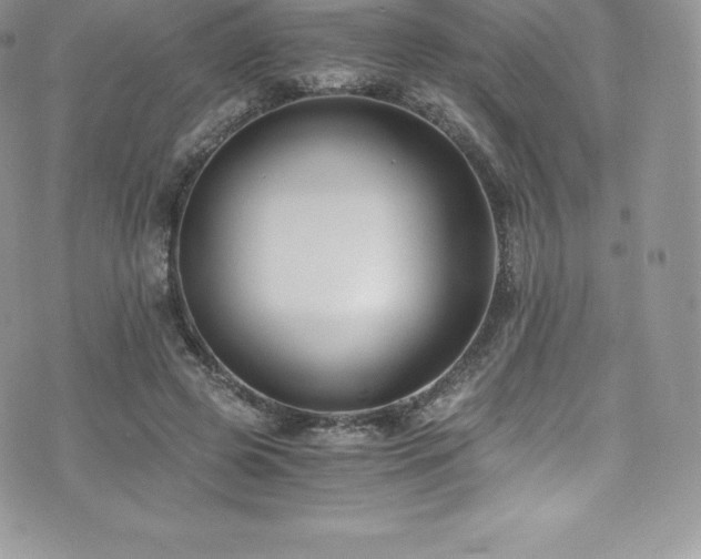 X0000073900545200608111133