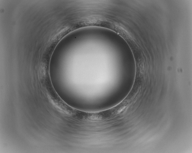 X0000073900546200608111133