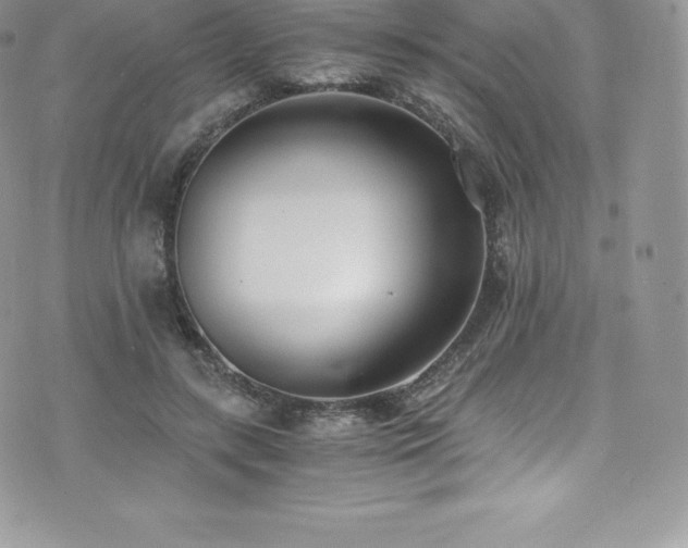 X0000073900547200608111133