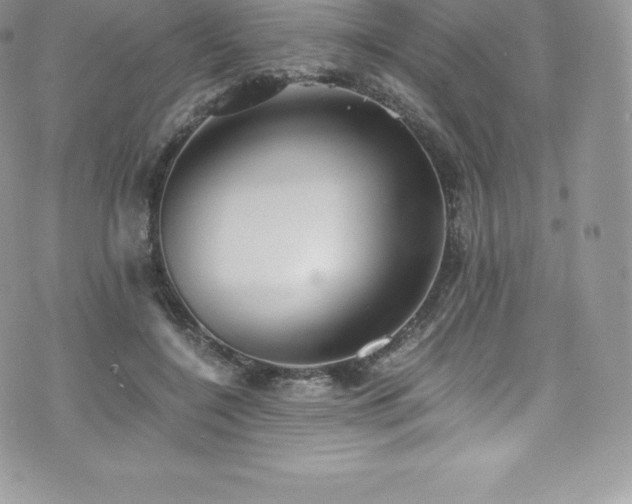 X0000073900548200608111133