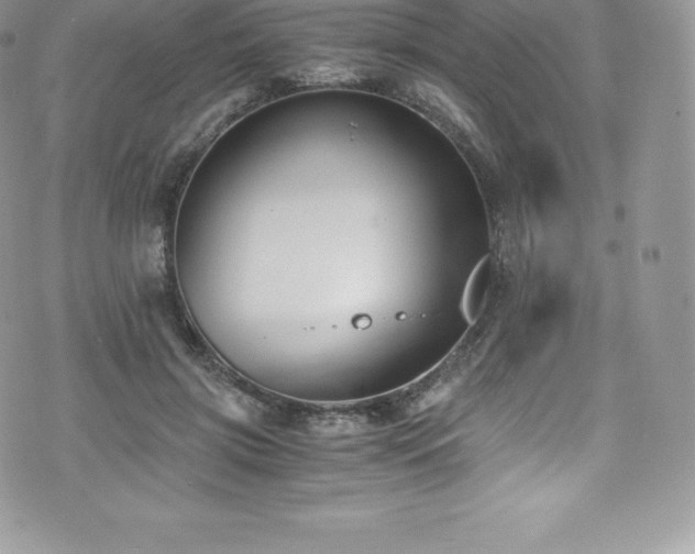 X0000073900549200608111133