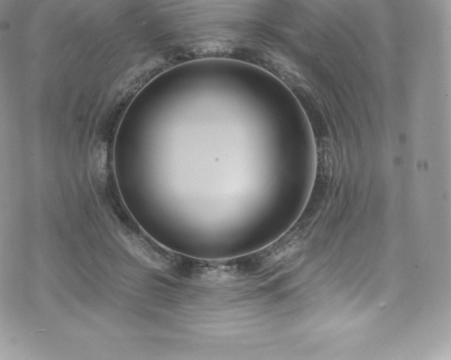 X0000073900550200608111133