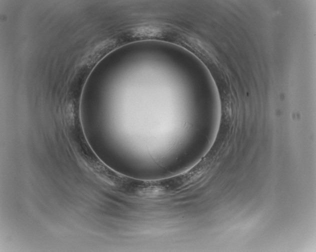 X0000073900551200608111133