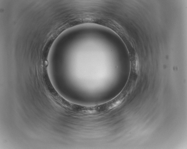 X0000073900552200608111133