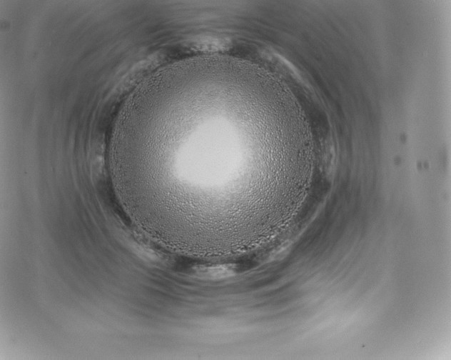 X0000073900553200608111133