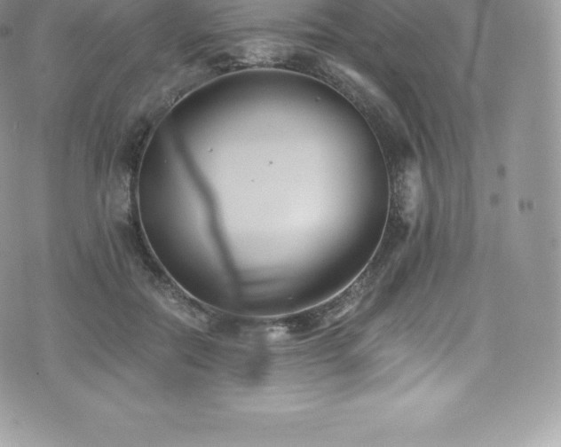 X0000073900554200608111133