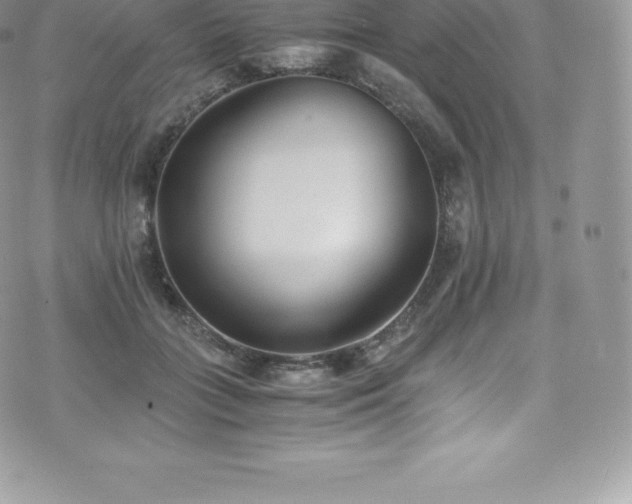 X0000073900555200608111133