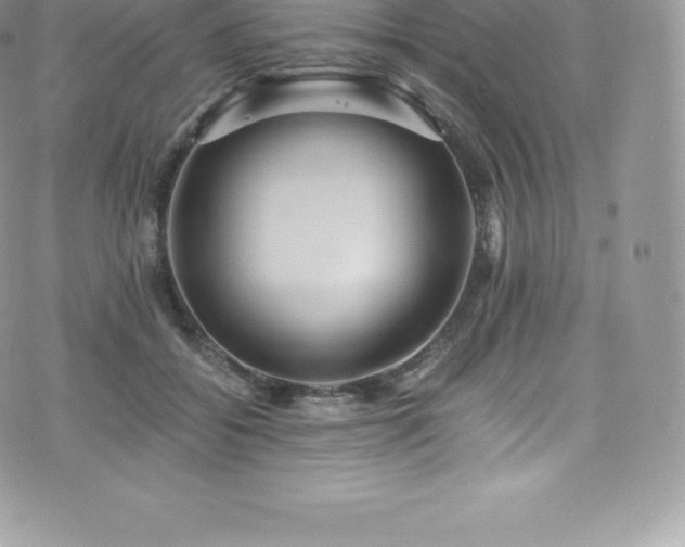 X0000073900556200608111133