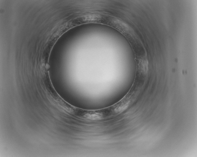 X0000073900557200608111133