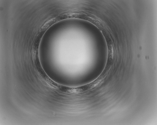 X0000073900558200608111133