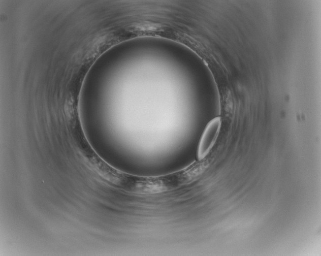 X0000073900559200608111133