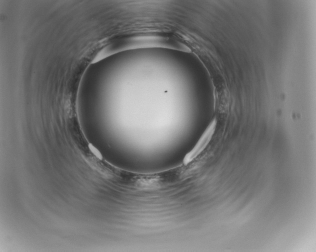 X0000073900560200608111133