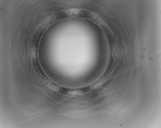 X0000073900561200608111133