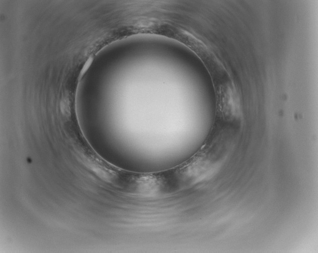 X0000073900562200608111133