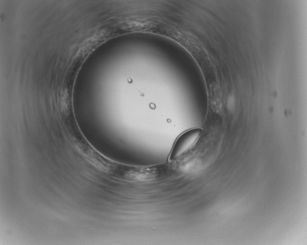 X0000073900563200608111133