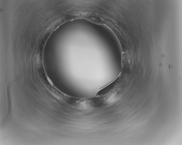 X0000073900564200608111133