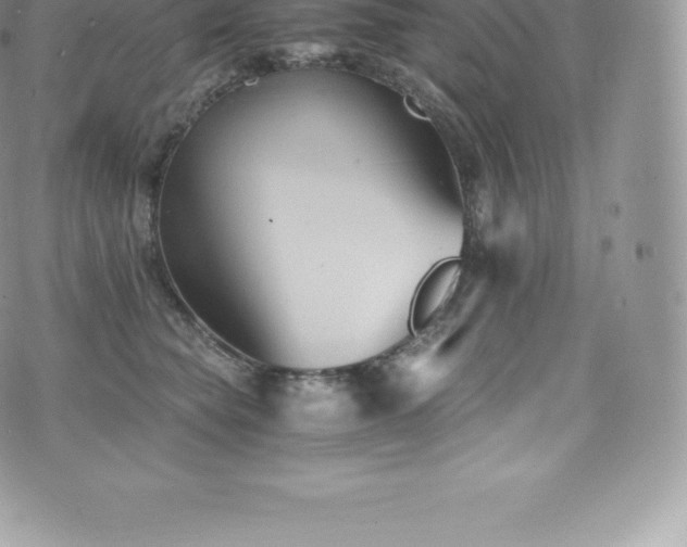 X0000073900565200608111133