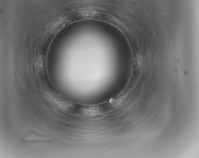 X0000073900567200608111133