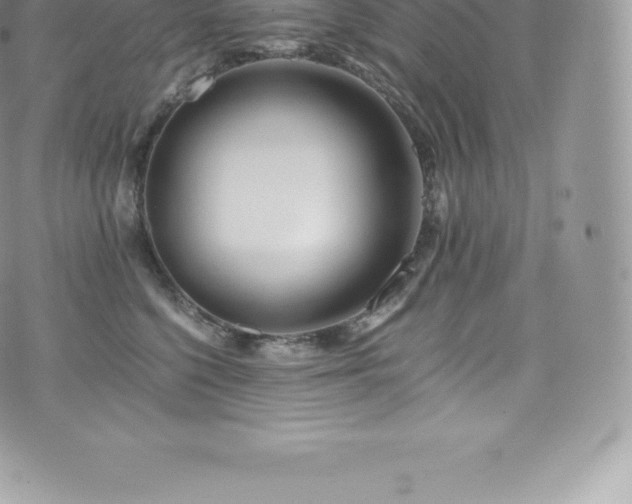 X0000073900568200608111133