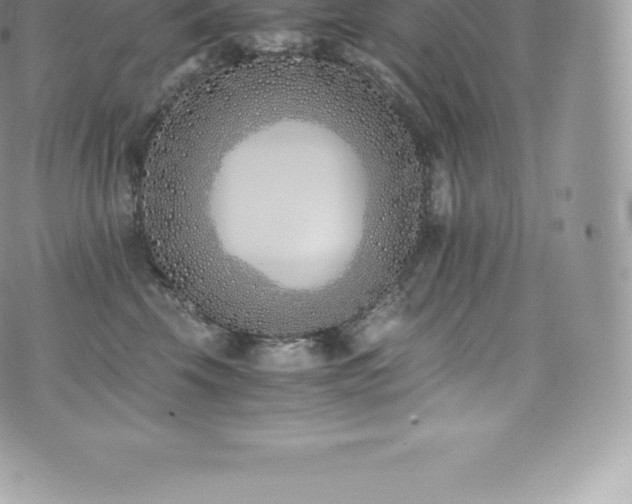 X0000073900569200608111133