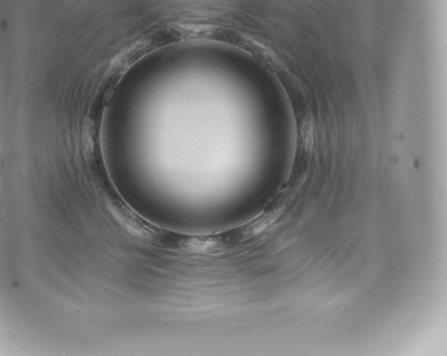 X0000073900570200608111133