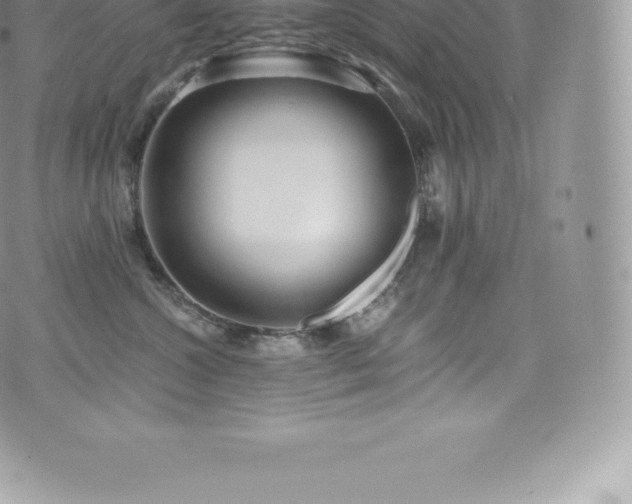 X0000073900572200608111133