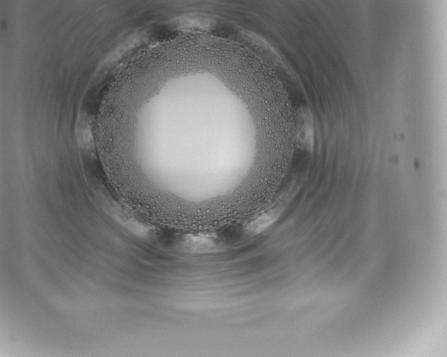 X0000073900573200608111133