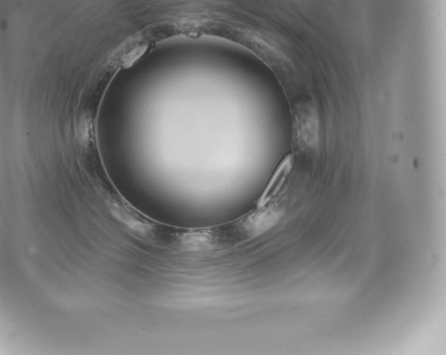 X0000073900574200608111133