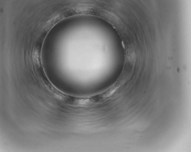 X0000073900575200608111133