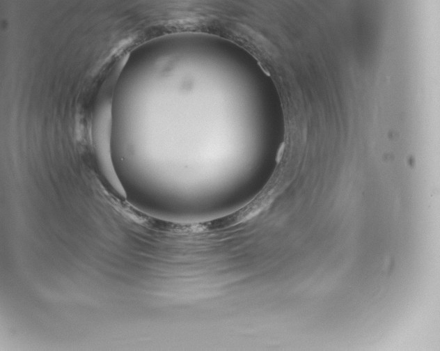 X0000073900576200608111133