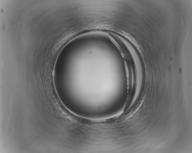 X0000073900577200608111132