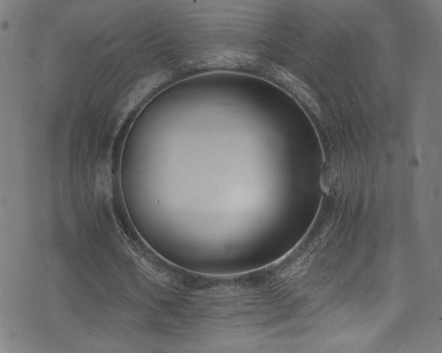 X0000073900578200608111132