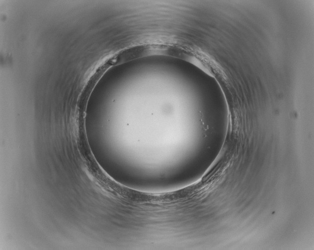 X0000073900580200608111132